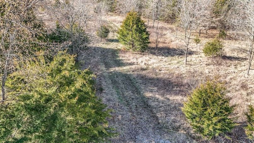 DJI_20250316091153_0049_D