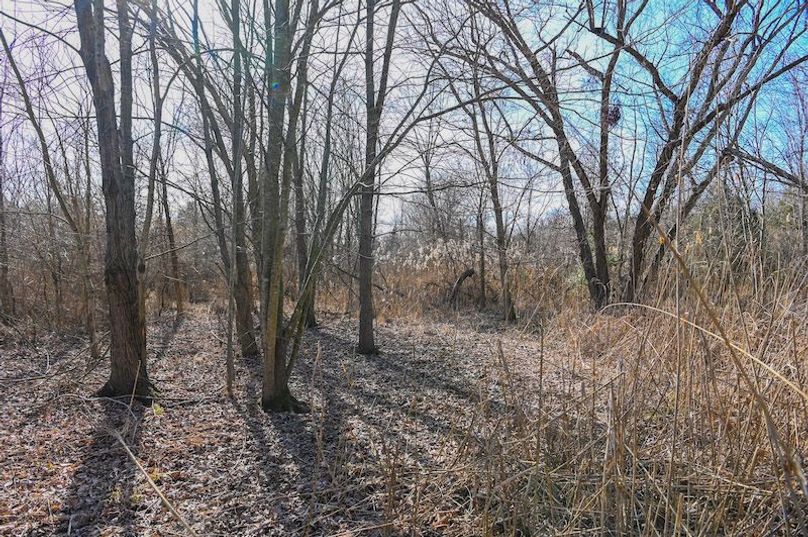 vandalia 450 (2)-1699