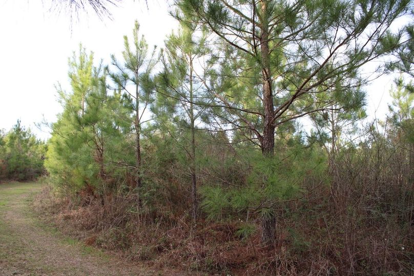 31A65A97-7B8C-4508-AC86-7990EA4B273B_1_105_c