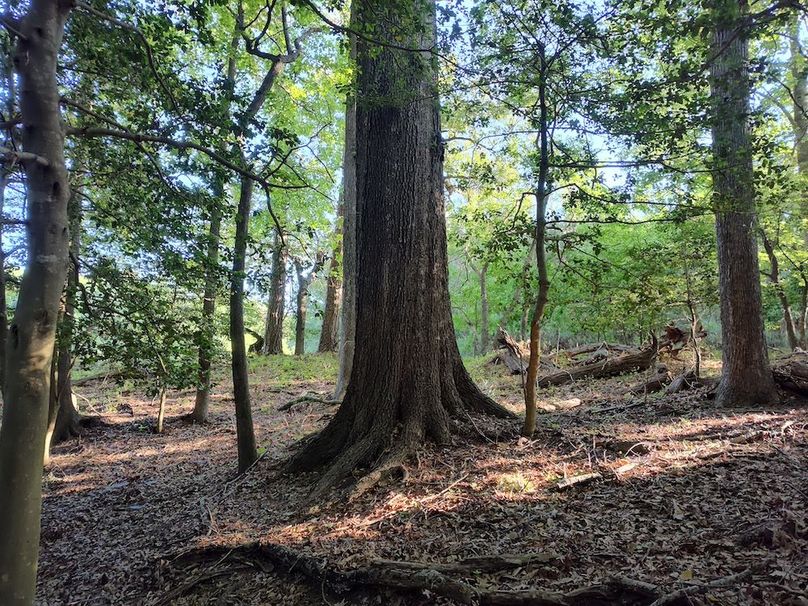 IMG_20260516_072551196_HDR