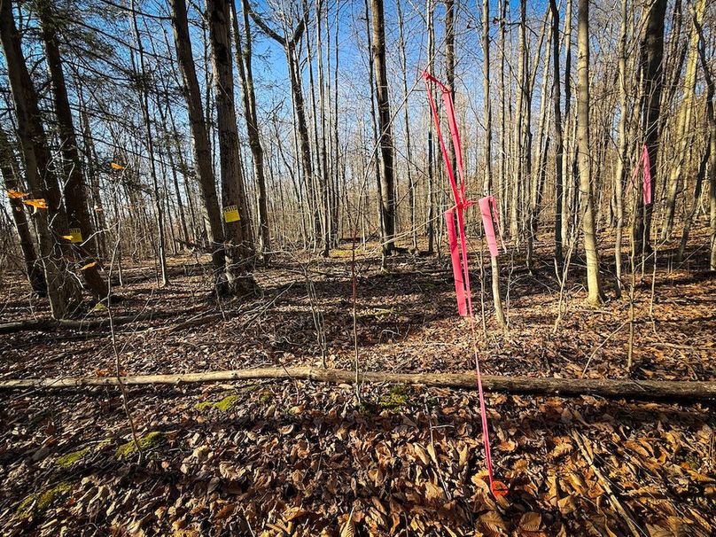 Chemung_31.75_Seymour_South_Photos_26