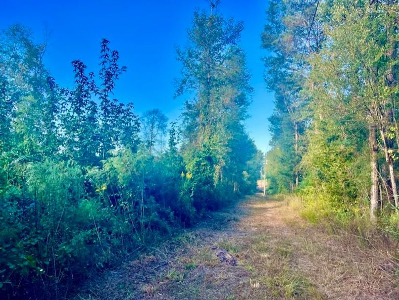 90899511-9871-4CEA-8BC1-359AB72A3AED_1_105_c