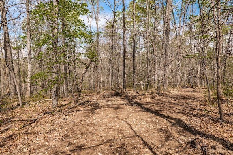 69-web-or-mls-0 Mound Creek Rd-39