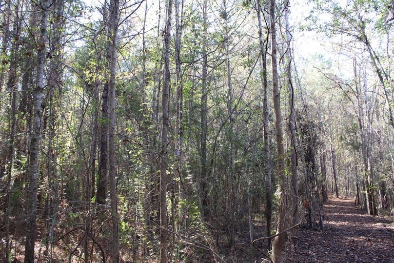 52E9D346-53B0-4D52-AF98-4D3D9E2388CA_1_105_c