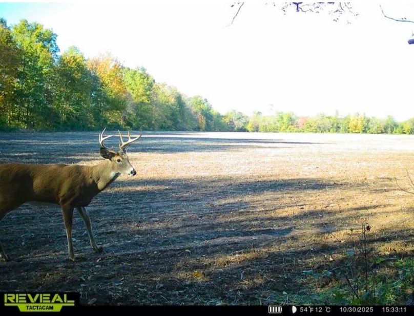 Trail Cam 7