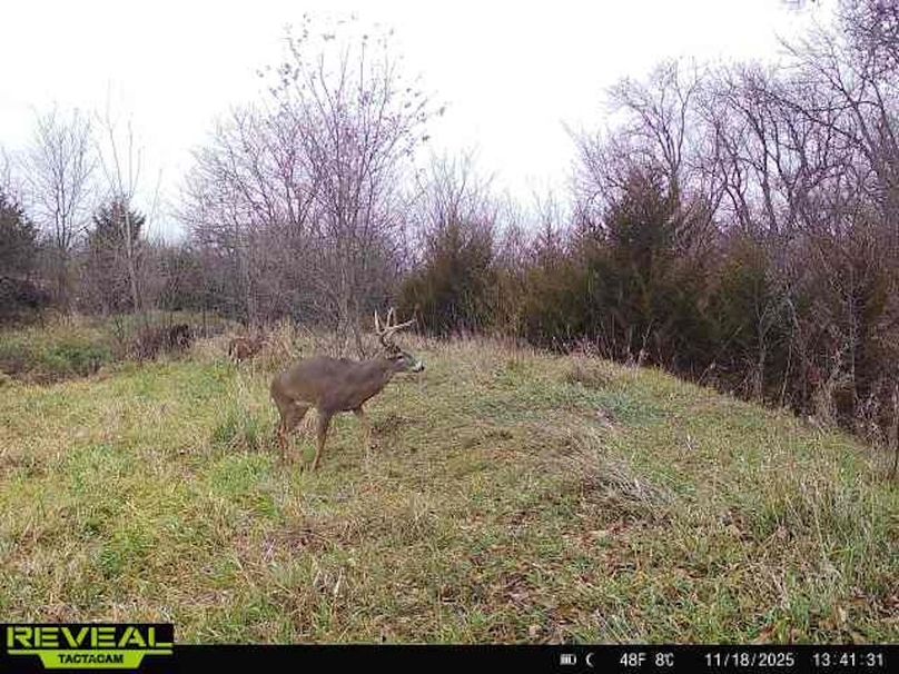 865814040443812-60-4-11182025134130-W1004017