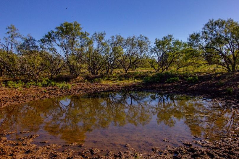 4. Small water hole