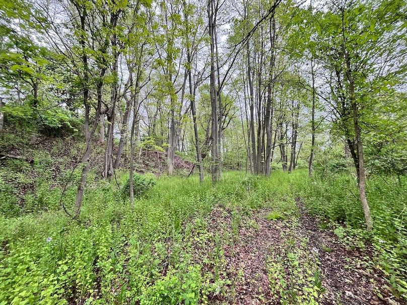 Chemung_3.5_Rouseland Photo 19