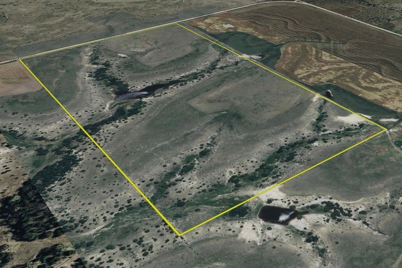 AERIAL 2