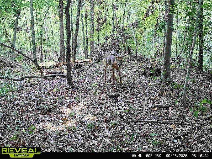 865814048504425-100-2-09062025081644-HD-W1000624