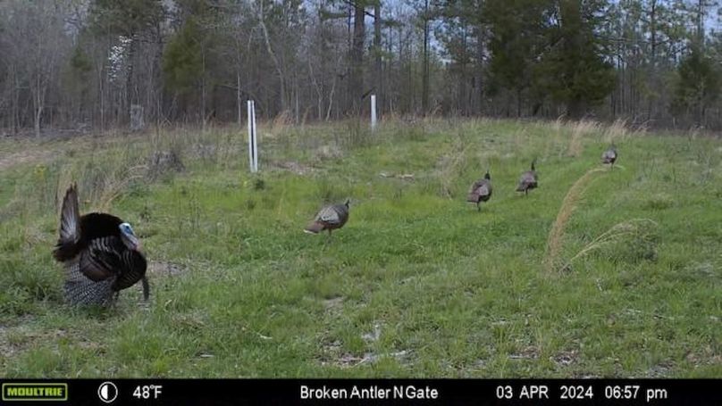 Benton 133.5 Trail Cam-08