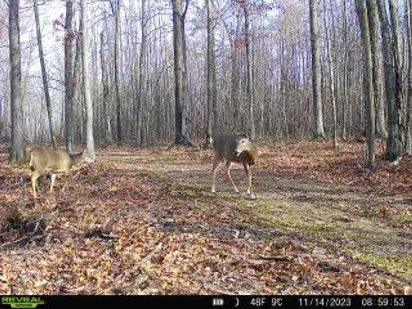 10dd865c-12a2-4783-834b-cc8e21baafbf