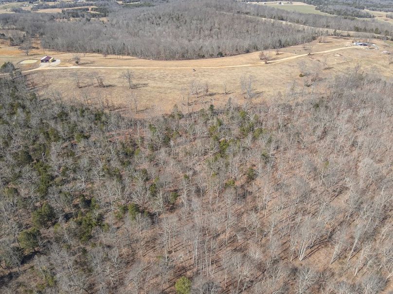 2-DJI_20260228121205_0012_W