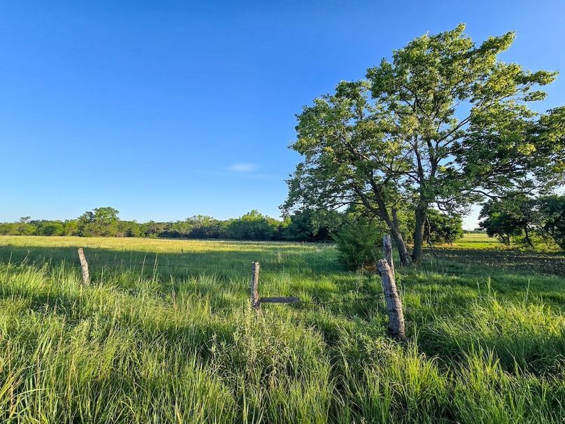 Copy of 20250729_073417