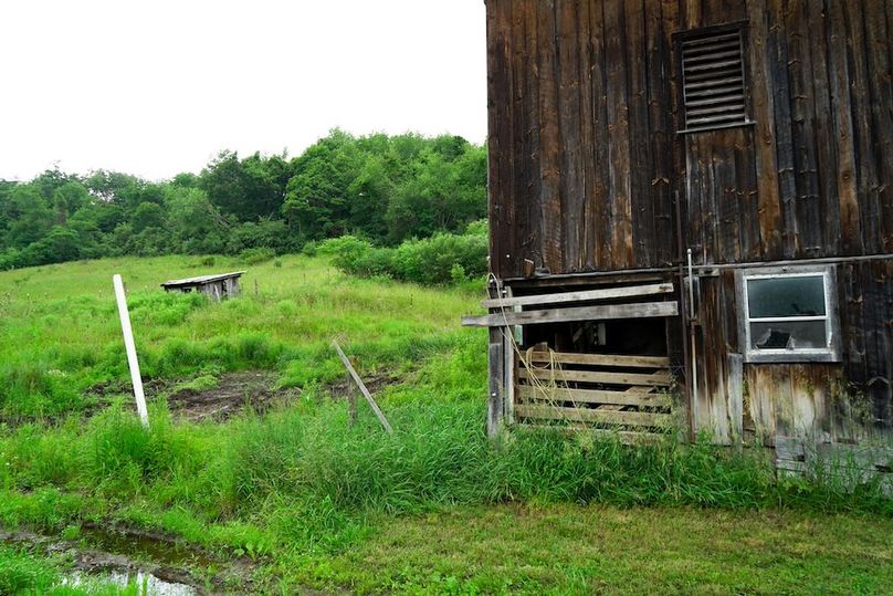 Bedford,121,Beegle-14