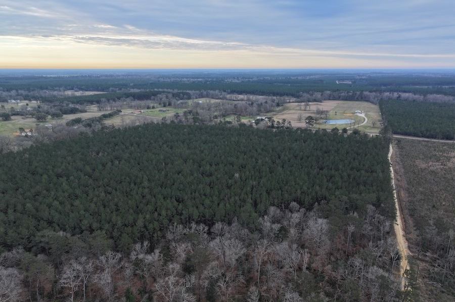 6 dji_fly_20250303_075754_0008_1741021868428_photo