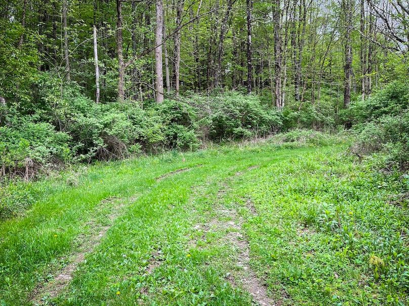 Tioga_78_Biada_Photos_99