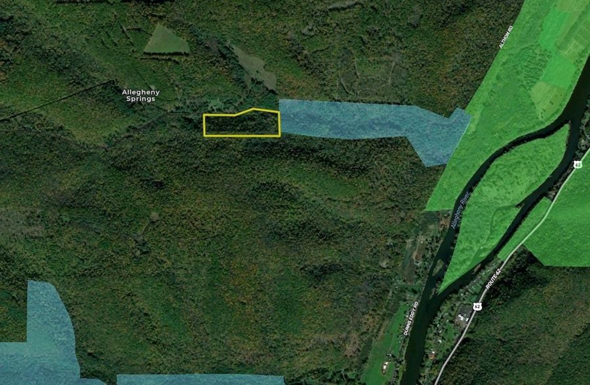 Screen Shot 2024-02-26 at 6.44.33 PM