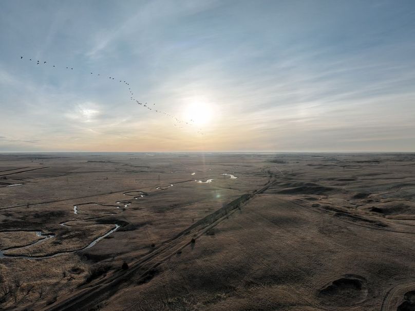 DJI_0292_Tract_2_Geese