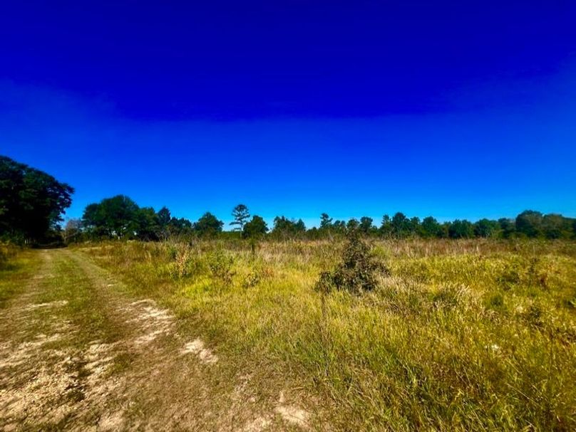 52D69A79-ED9A-4D71-8CF3-B5A784CB7FC6_1_105_c