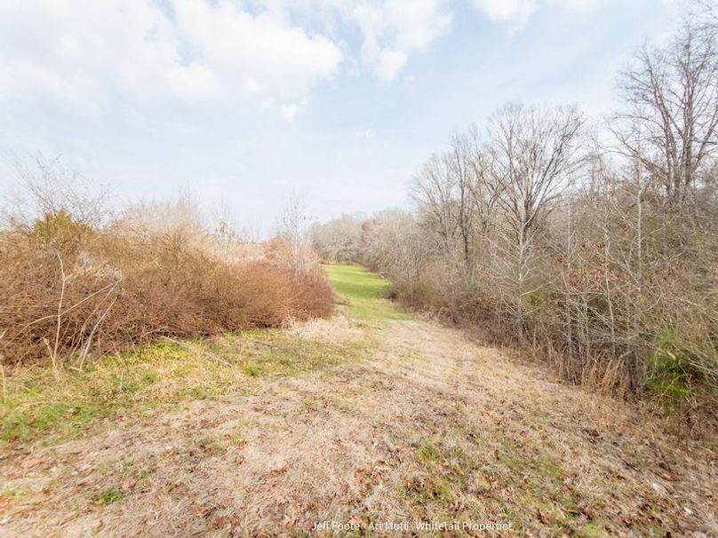 Holmes County - 108 - Rodriguez-72