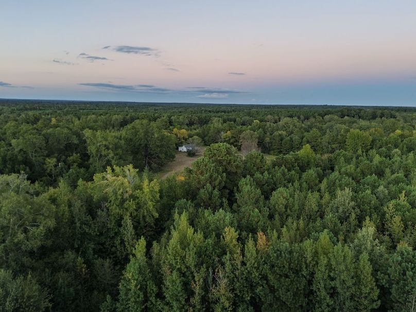 7 Edited Harison co. 206 - Ed Robb-064