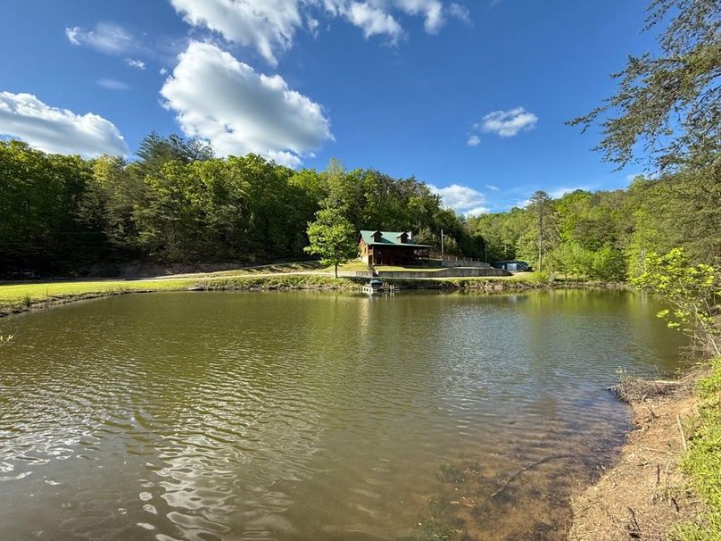 012 view of the cabin from across the pond