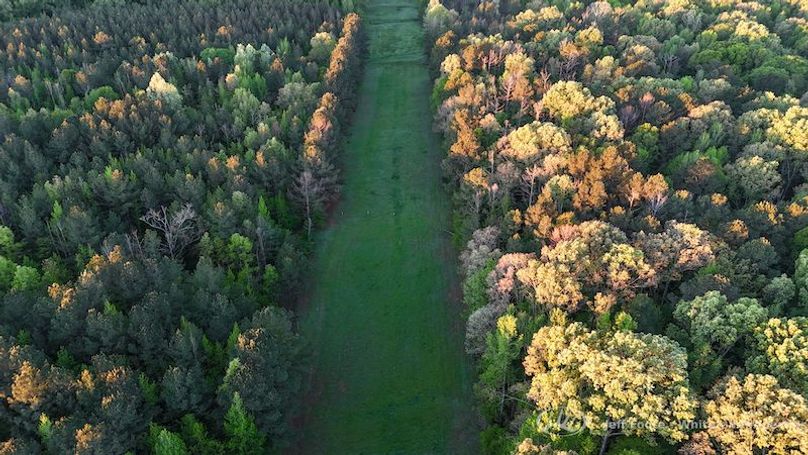 Hinds Co - 51 - Hughes-67