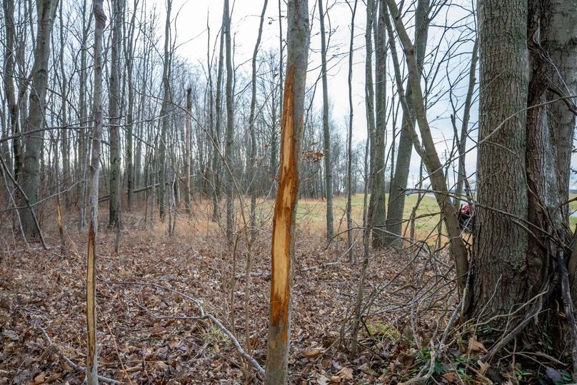 Copy of DSC00750 Large