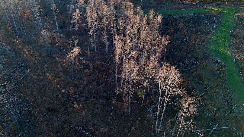 DRONE.00_15_38_09.Still037