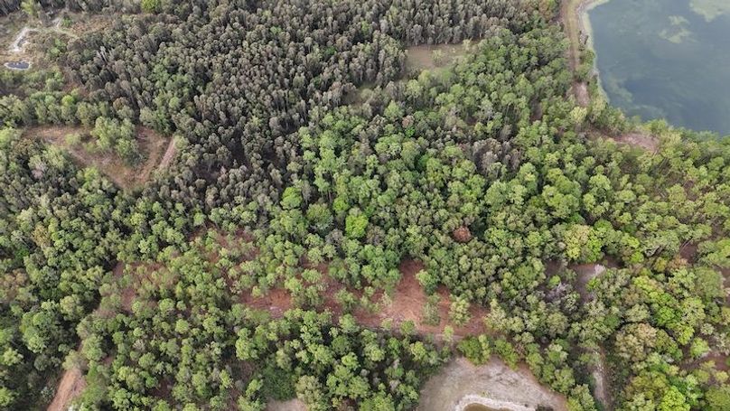 DJI_20260118094214_0174_D