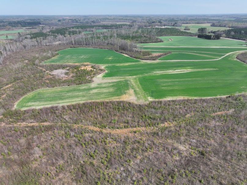 DJI_20260303062732_0518_D