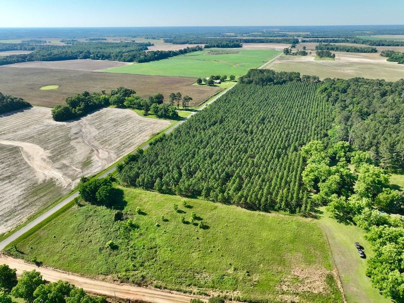 dji_fly_20240521_094410_368_1716299361087_photo