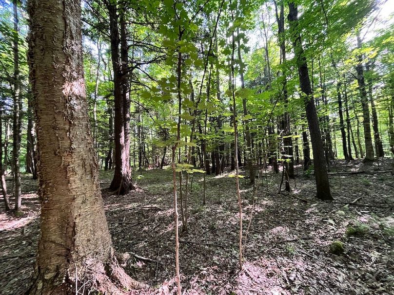 Jefferson_260.3_ Lobach_Photos_68