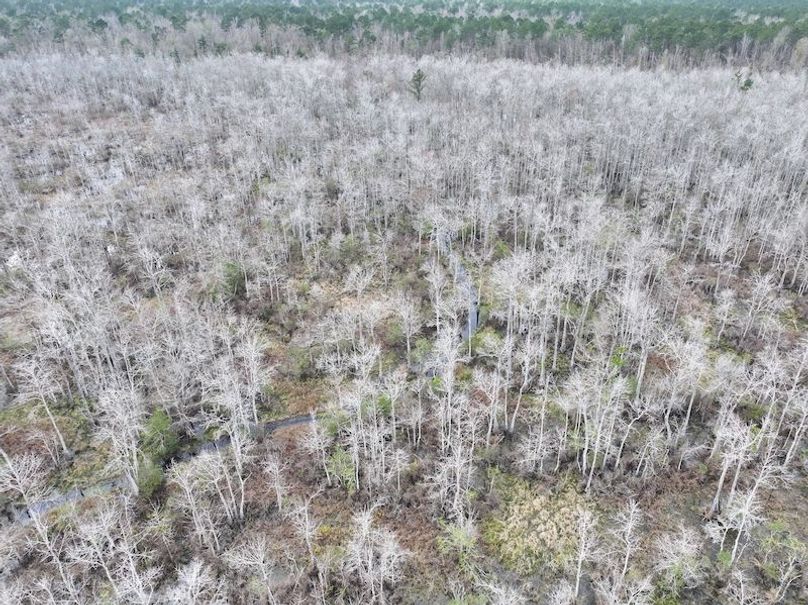 dji_fly_20260123_134220_0967_1769444763629_photo