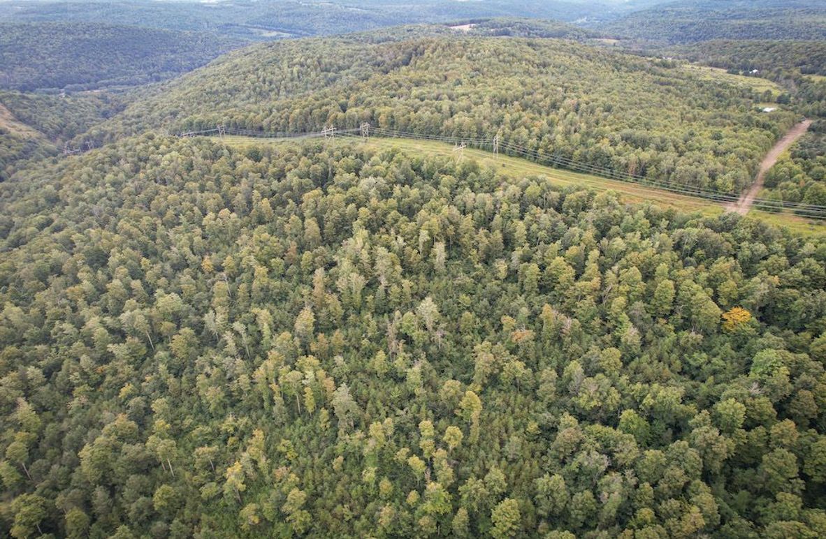 Chemung_140.13_Baumunk_Photos_1