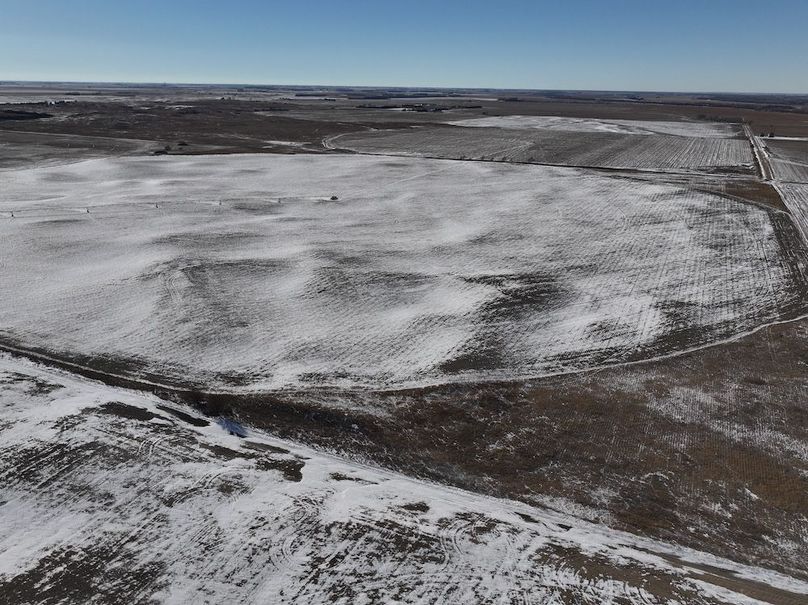 Copy of dji_fly_20250110_141408_0176_1736540778056_photo