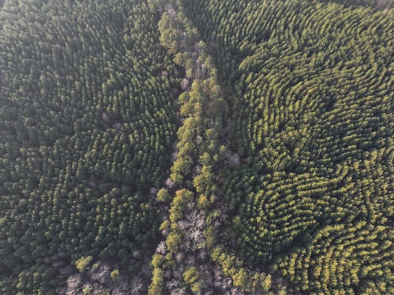 012FE - 83 Acres - Drone-10