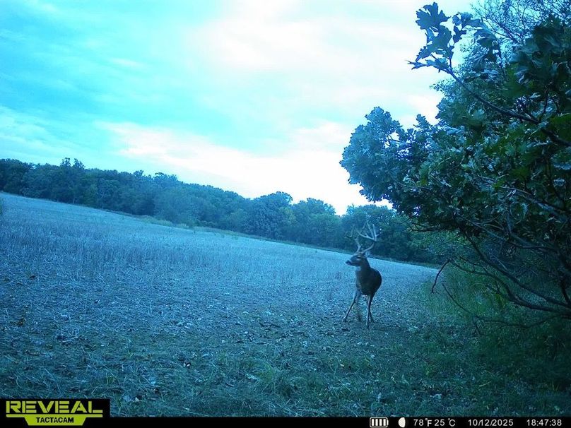 860322062399974-100-4-10132025031604-HD-SYEW0182