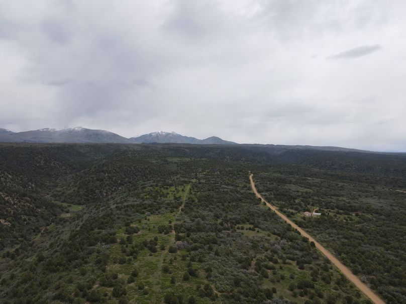 dji_export_1685968224491