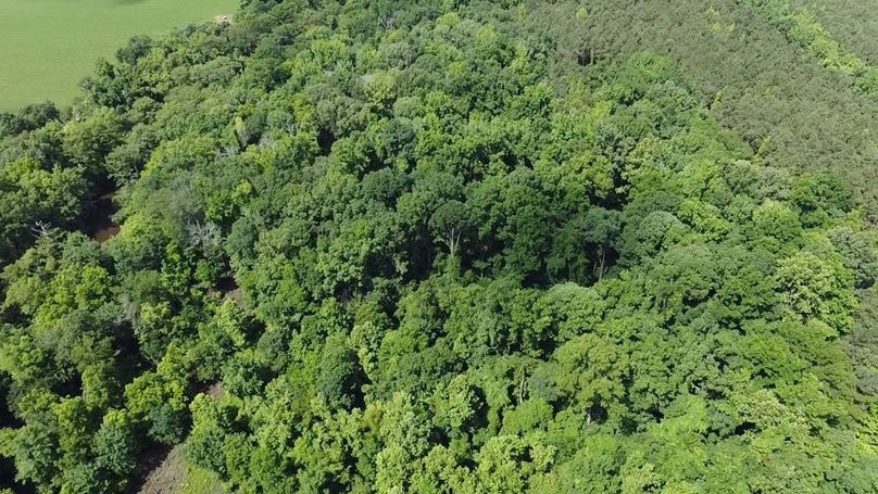 2024-06-01-10-34-00-228