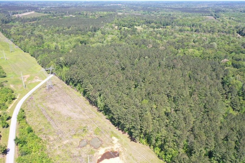 D6029BEA-DCE9-443F-A032-871603A38E17_1_105_c