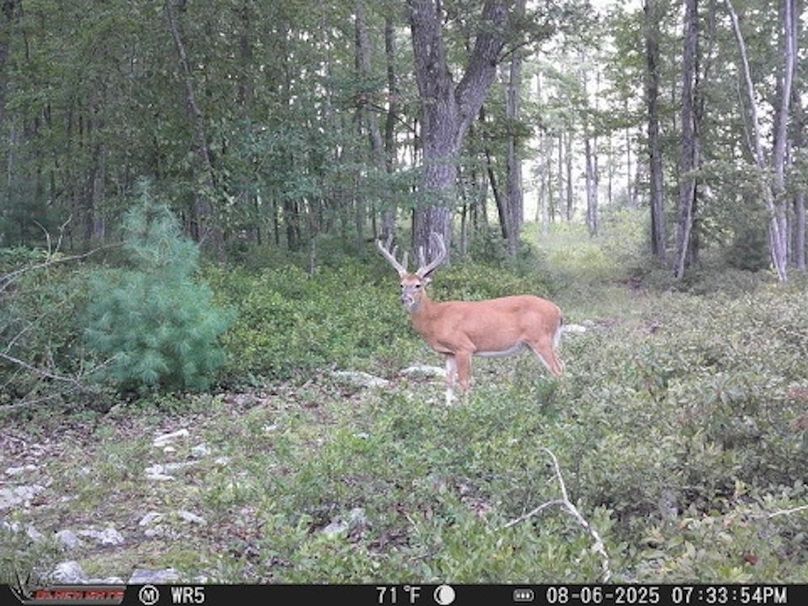 42060-2651-421C-9A9A-00DFA105CF57_4_5005_c