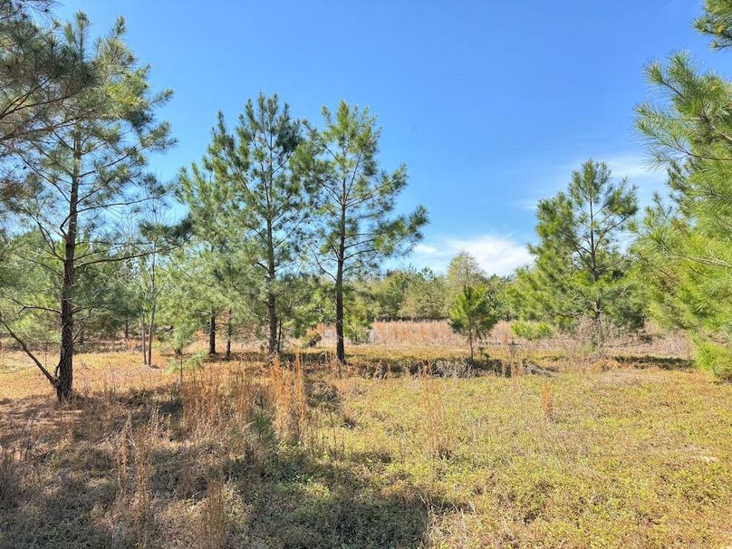 F4C79609-D46C-4A74-9EED-97469C0B0EF3