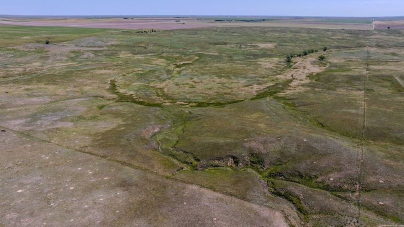 DJI_20250623105529_0298_D-HDR