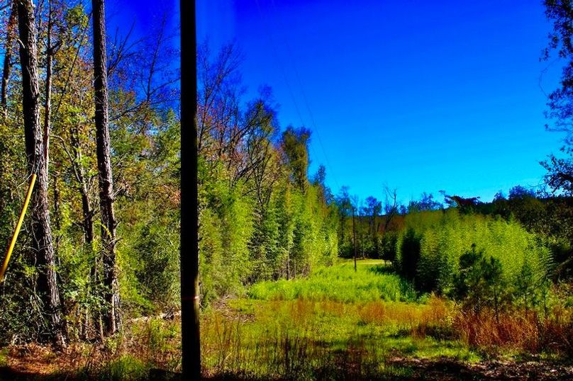 E4150F0C-8D74-48D6-BB3C-913D4ECBD8E8_1_105_c