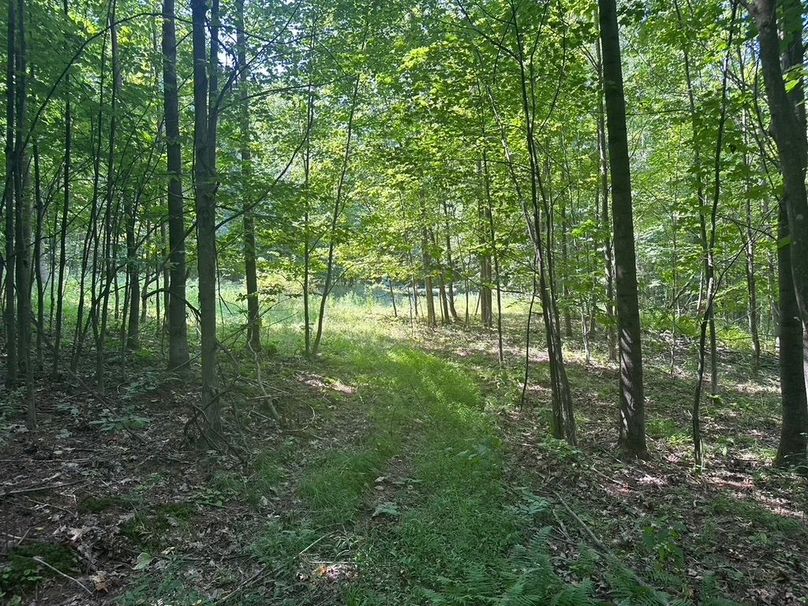 D1A592F4-EDEE-4018-BCE4-80E571009544_1_105_c