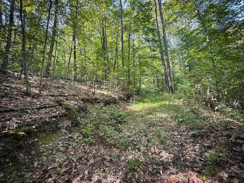 Tioga NY 86.705 Capwell Photos 20