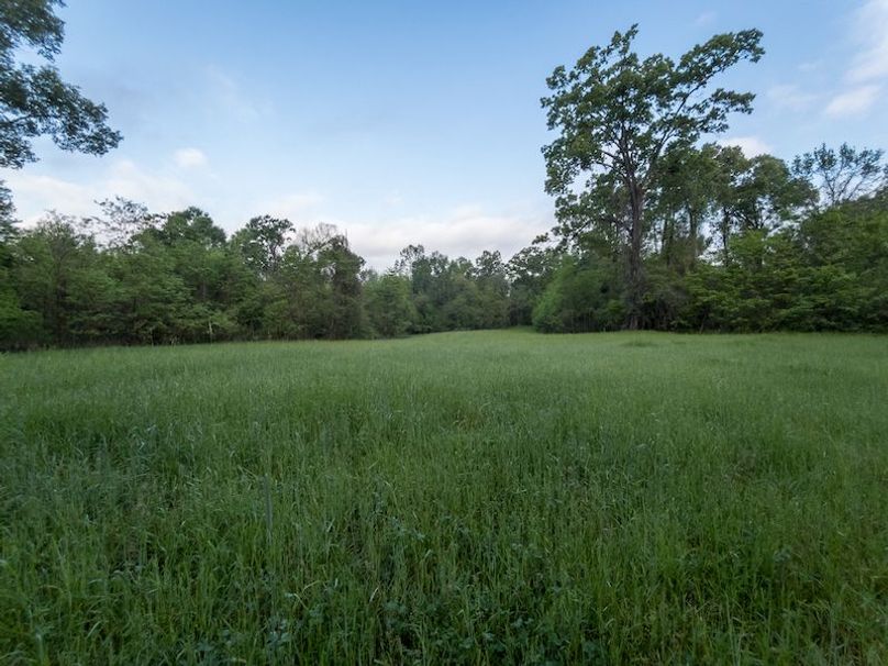 Claiborne Co-314-Fernandez-75