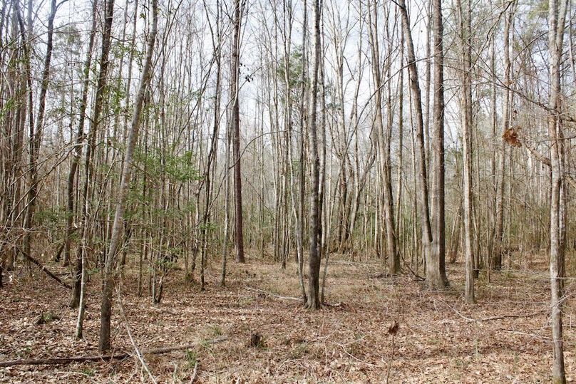 D9E9643C-46ED-4EB2-93B7-A43385BF7864_1_201_a